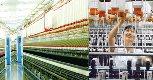 中粮帝国 网络技术服务与数字化转型之路